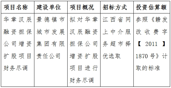 華章漢辰融資擔(dān)保公司增資擴(kuò)股項(xiàng)目財務(wù)盡調(diào)計劃公告
