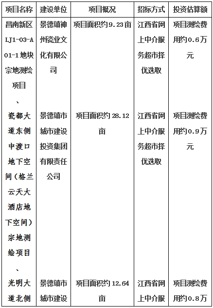 景德鎮(zhèn)市昌南新區(qū)LJ1-03-A01-1地塊、瓷都大道東側(cè)中渡口地下空間（格蘭云天大酒店地下空間）、光明大道北側(cè)利民路西側(cè)地下空間（青少年宮地下空間）、規(guī)劃二路北側(cè)地下空間地塊二（加速基地地下空間）、規(guī)劃二路北側(cè)地下空間地塊一（加速基地地下空間）、景德大道南側(cè)天寶橋西側(cè)地塊、景興大道東側(cè)如意路北側(cè)地下空間(社會公共服務(wù)