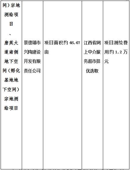 景德鎮(zhèn)市昌南新區(qū)LJ1-03-A01-1地塊、瓷都大道東側(cè)中渡口地下空間（格蘭云天大酒店地下空間）、光明大道北側(cè)利民路西側(cè)地下空間（青少年宮地下空間）、規(guī)劃二路北側(cè)地下空間地塊二（加速基地地下空間）、規(guī)劃二路北側(cè)地下空間地塊一（加速基地地下空間）、景德大道南側(cè)天寶橋西側(cè)地塊、景興大道東側(cè)如意路北側(cè)地下空間(社會公共服務(wù)