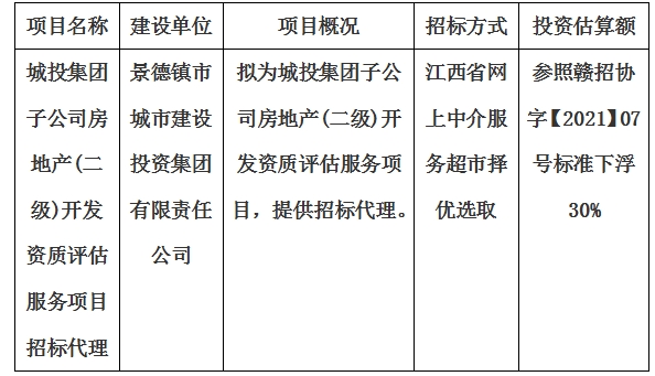 城投集團子公司房地產(chǎn)(二級)開發(fā)資質(zhì)評估服務(wù)項目招標代理計劃公告